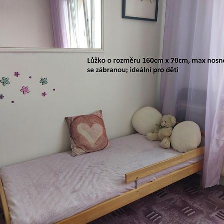 Apartman V Podhuri Krusnych Hor Sokolov Ngoại thất bức ảnh