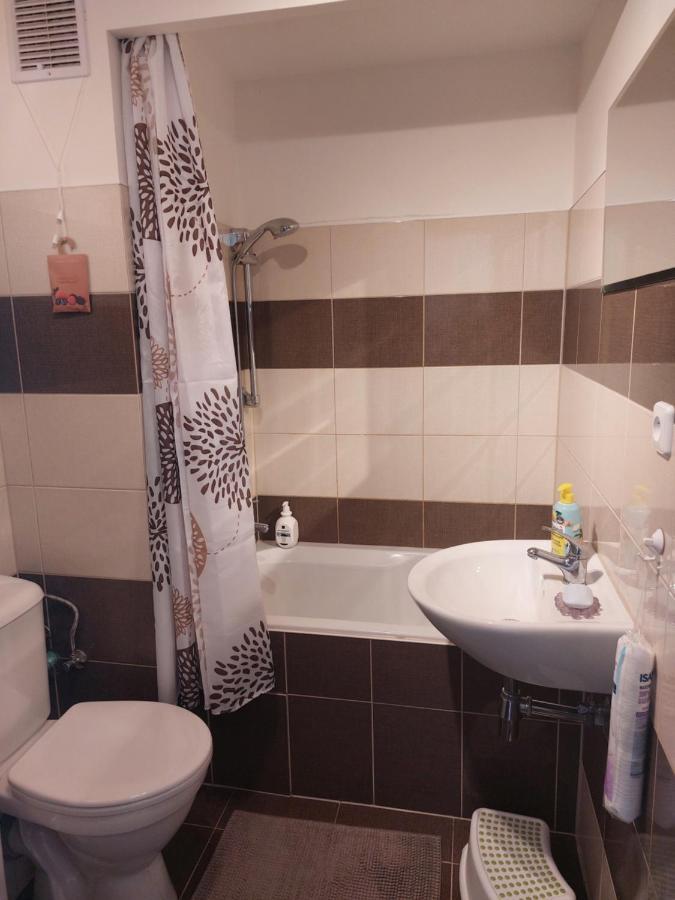 Apartman V Podhuri Krusnych Hor Sokolov Ngoại thất bức ảnh
