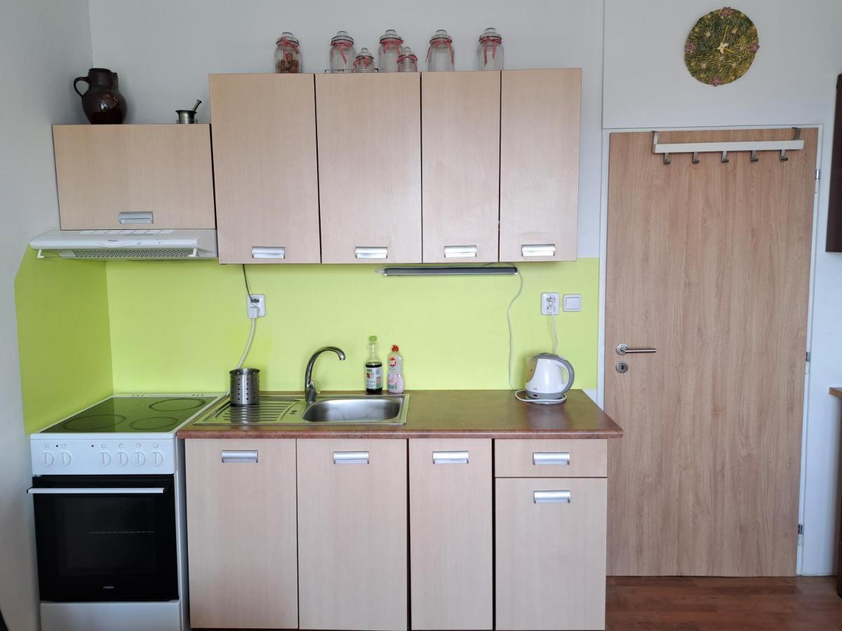 Apartman V Podhuri Krusnych Hor Sokolov Ngoại thất bức ảnh